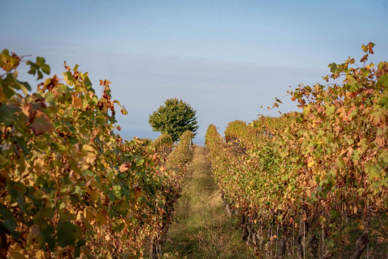 Agriturismo San Martino Clavesana Zewnętrze zdjęcie