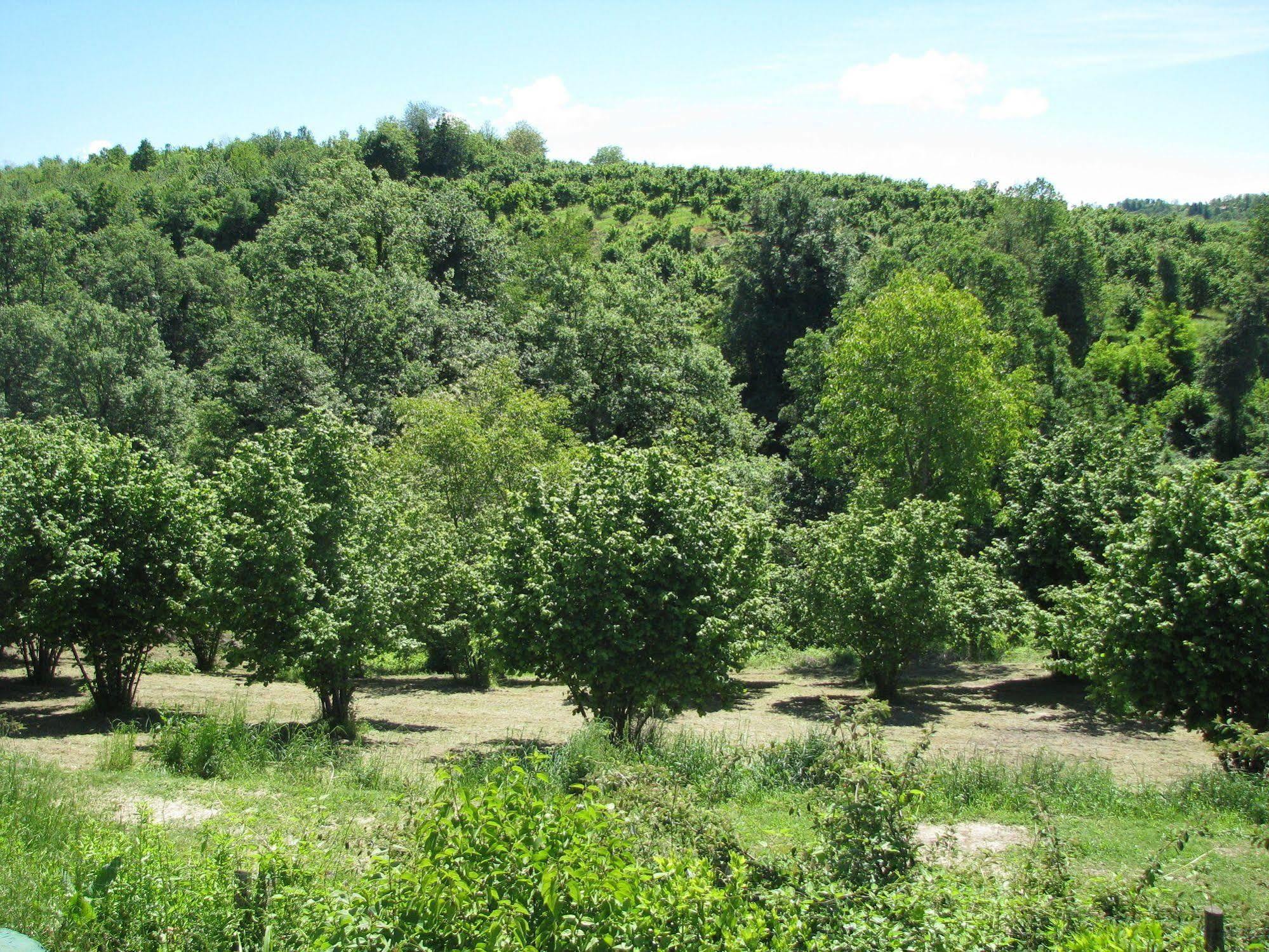 Agriturismo San Martino Clavesana Zewnętrze zdjęcie