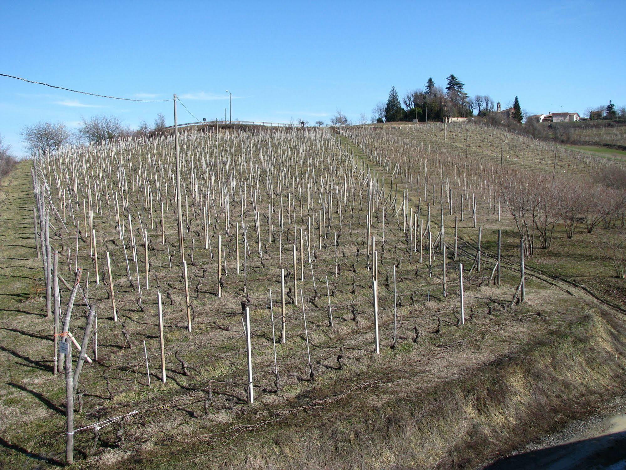 Agriturismo San Martino Clavesana Zewnętrze zdjęcie